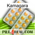 Kamagara levitra2